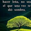 user4410088726622
