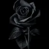 user7273739307167