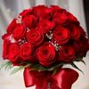 adamgirl786