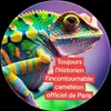 caméléon officiel de Paris🦅