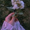 user5066680062313