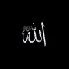 dr.islamic24