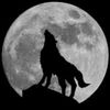 lycan._