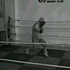 andreibardas5