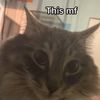 someone_under_your_bed__