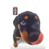 help4scottishvets