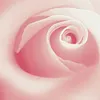 mimibenmakhlouf5