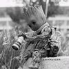 haitham.rabie
