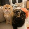 Cleo & Jack