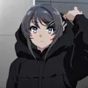 user.25476311