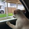 bobthebigfish6