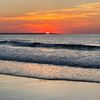 tal_riemer