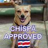chispchisptamarin