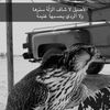 wdj_qsi