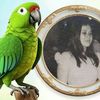 eupy.avey.rom