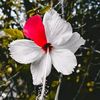 biswasshilpa4