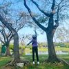 ban_jong2508