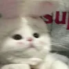 nguyenanhmai_37