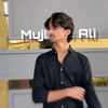 mujtabaalix7