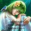kirei382