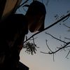 denz_rycko_15