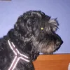 miguelgonzalezcen4