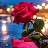 user8007346056185