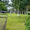 user94144568051146