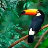 vivanatureza4