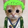 dom_zoro.cat