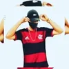 leonardoneresthia