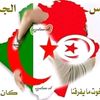 user63681542102978