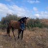 ruth_adato