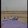 خًلكً هاًويً🦅