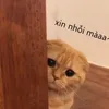 www.tiktok.comt608