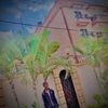 br_yan7