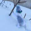 mrrat_00