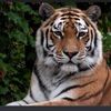 maryann7525