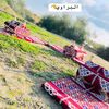 user51291669437574