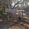 horse_obsessed_crackhead