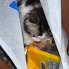 kuzannstore_