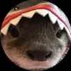 koolietate