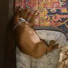 Tranquilly..Milly