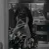 zxyalina