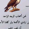omarhazle