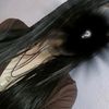 lily_cuenc