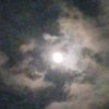 alejandrahuertas021