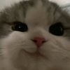 xyrouu_