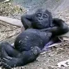 mightyguy027