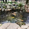 minh.tr8345